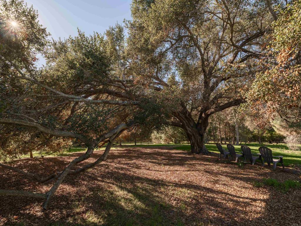 9 Country Glen Road Fallbrook, CA 92028 - Photo 55 of 74 a view of backyard with green space