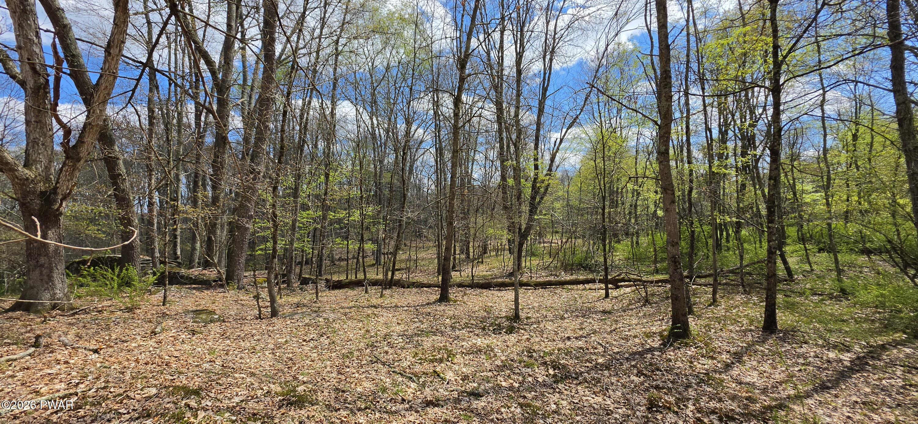 Lot 17.14 Skipperene Road Narrowsburg, NY 12764 - Photo 11 of 15