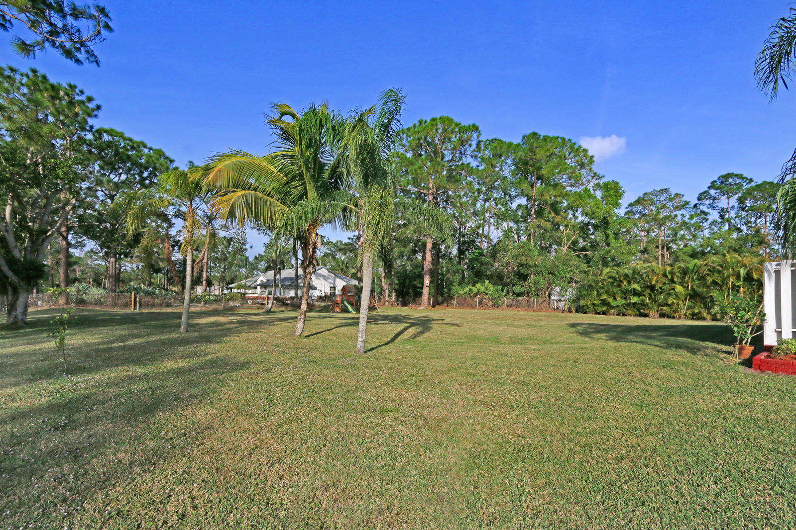 12335 165th Road North Jupiter, FL 33478 - Photo 23 of 25 Yard