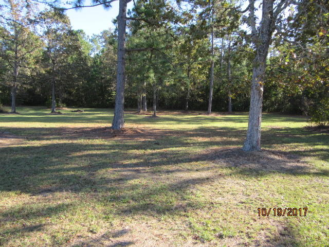 178 Airborne Way Cross, SC 29436 - Photo 6 of 57 IMG_0455