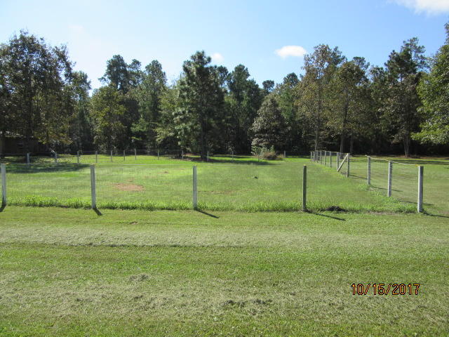 178 Airborne Way Cross, SC 29436 - Photo 53 of 57 IMG_0404