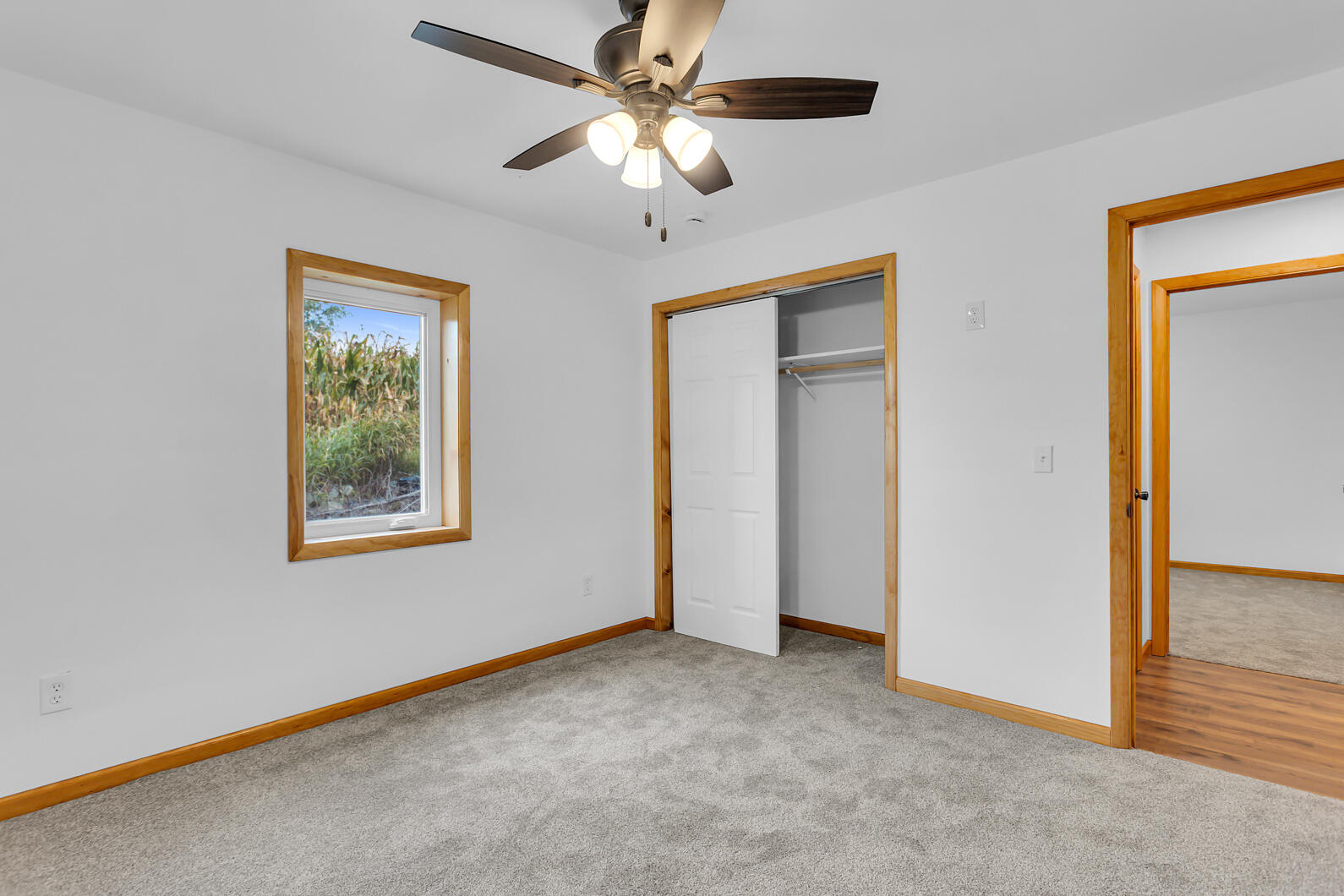 19822 27 1/2 Mile Road Albion, MI 49224 - Photo 23 of 43 0N0A9131