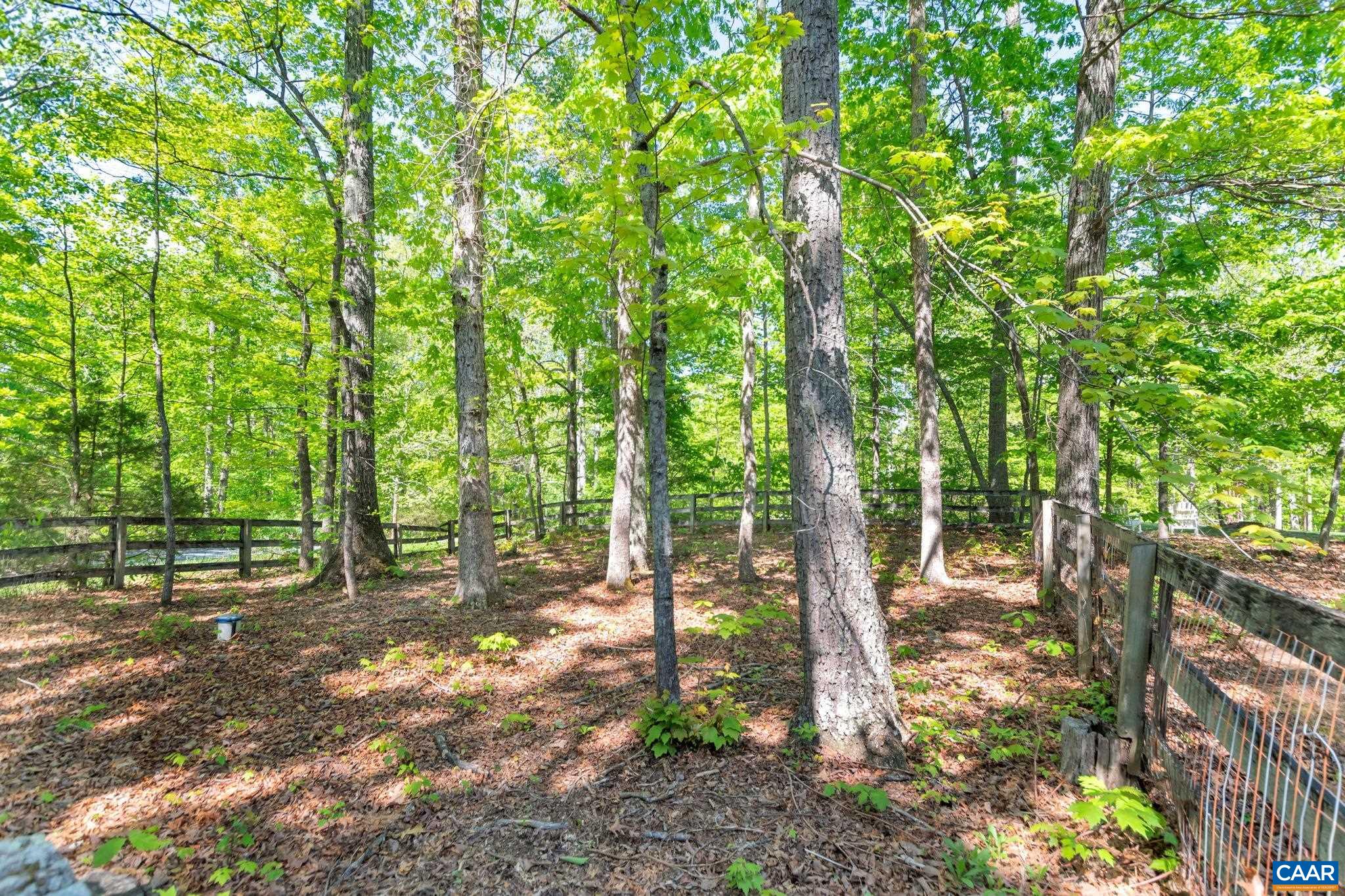 700 Broad Axe Road Charlottesville, VA 22903 - Photo 73 of 74 Gallery Image 73