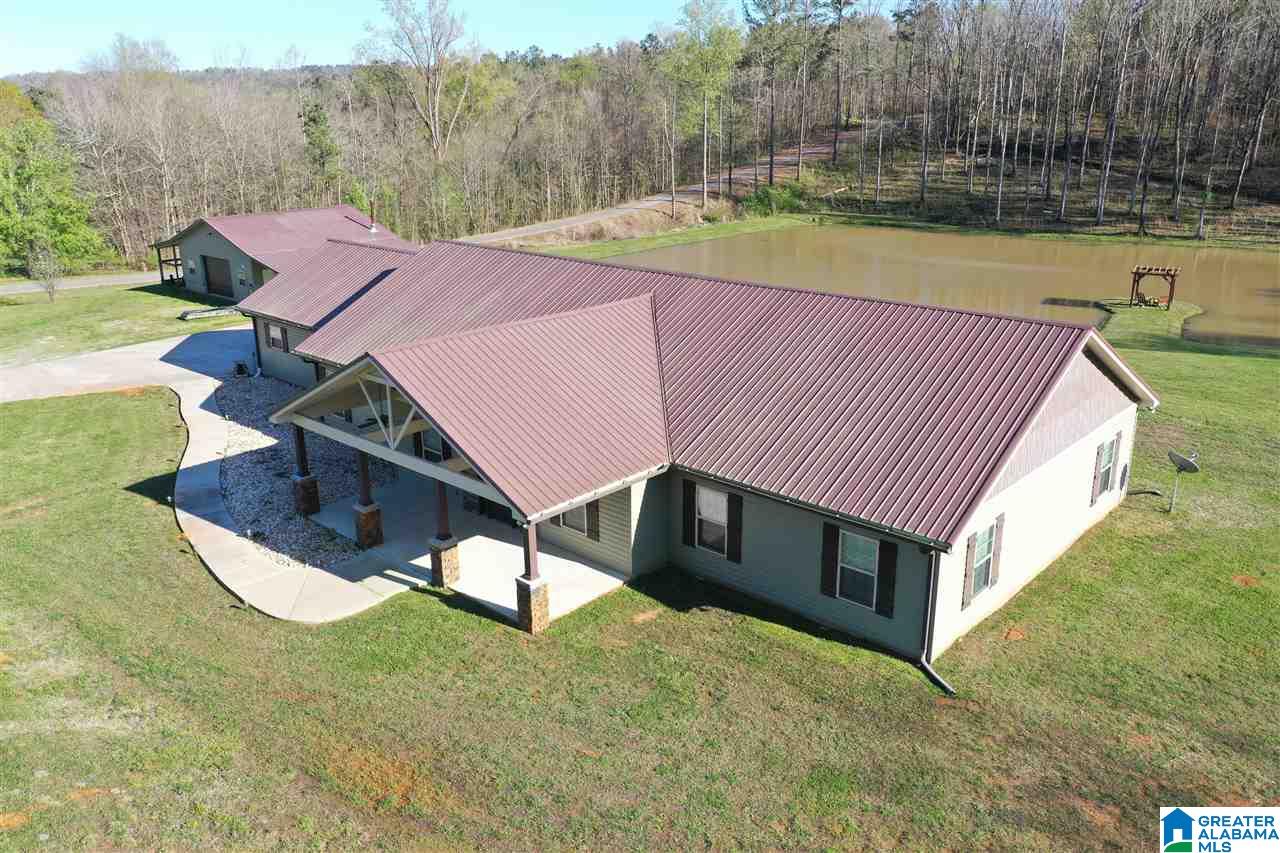 65 County Road 910 Delta, AL 36258 - Photo 4 of 38