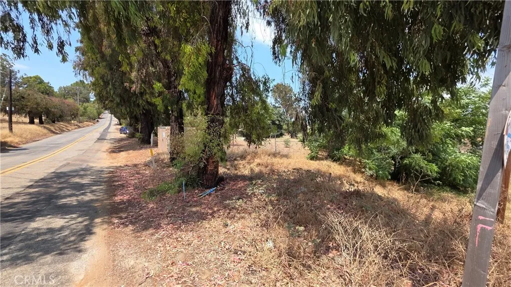 0 Fairview Vista, CA 92084 - Photo 15 of 17 a view of a yard with plants and trees