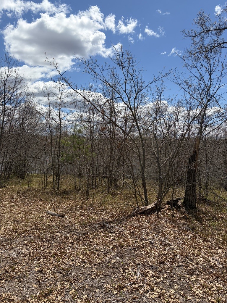 Lot 2 Sleepy Eye Road Minong, WI 54859 - Photo 7 of 10