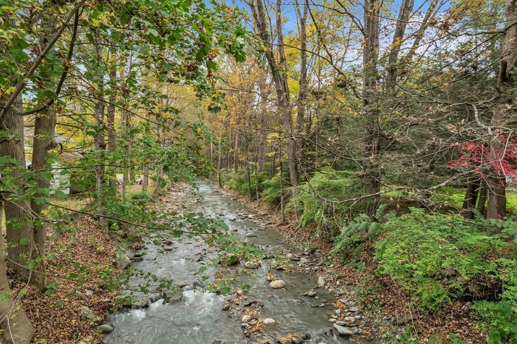 30 Green River Road Greenfield, MA 01301 - Photo 6 of 34 a view of a yard with a tree