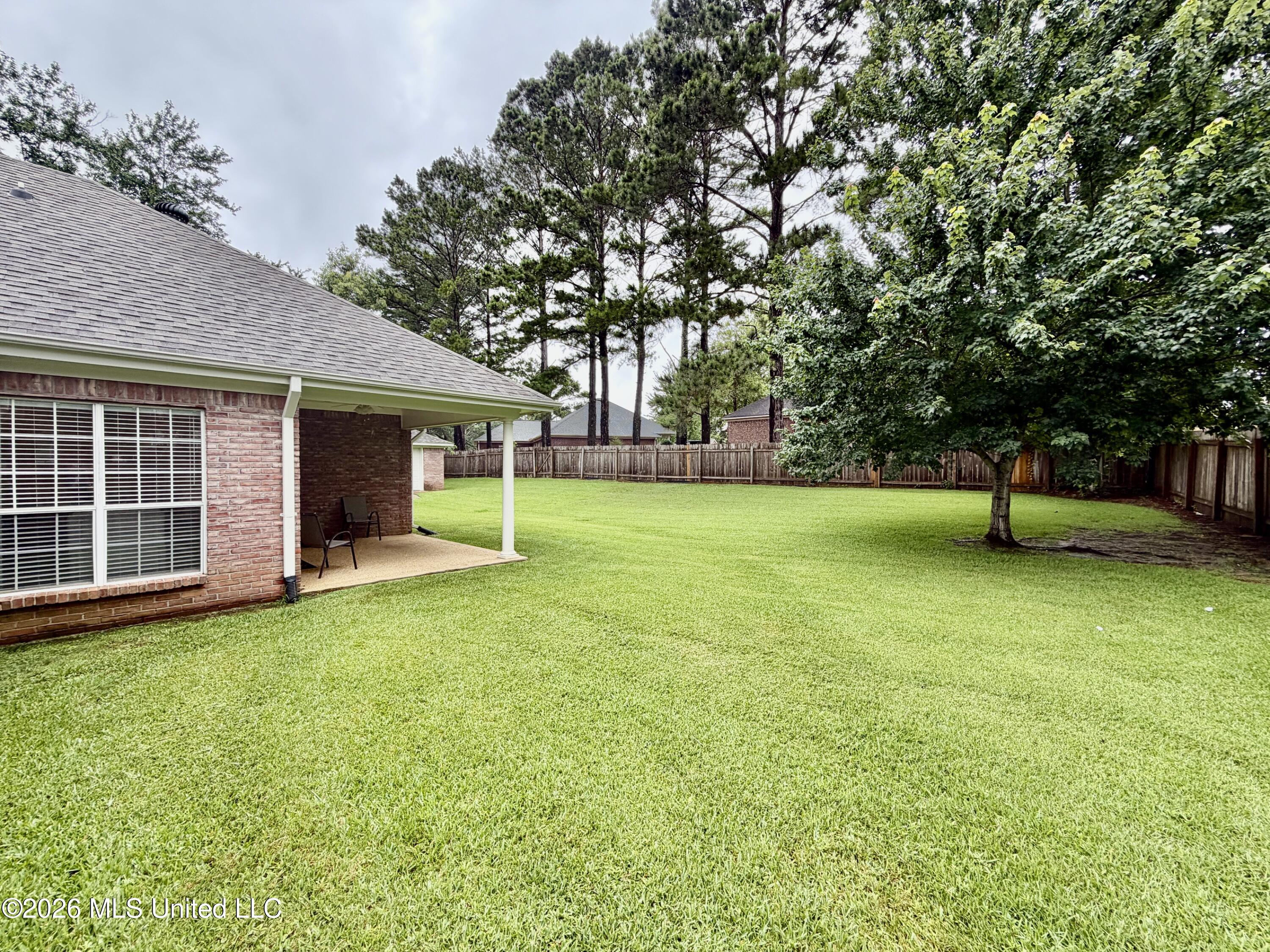 205 Stonebriar Lane Brandon, MS 39042 - Photo 44 of 53 IMG_4294