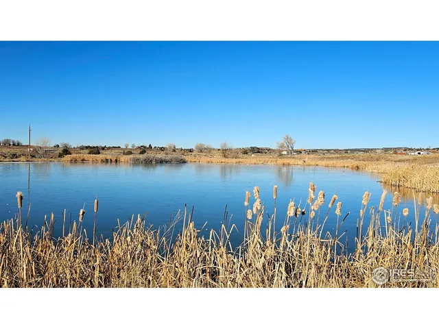 a black and white photo of a lake