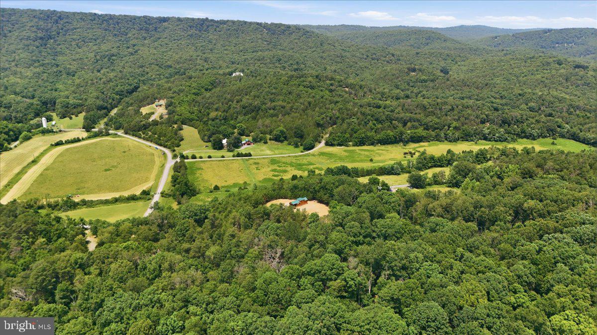 3300 Foxes Hollow Road Romney, WV 26757 - Photo 54 of 59