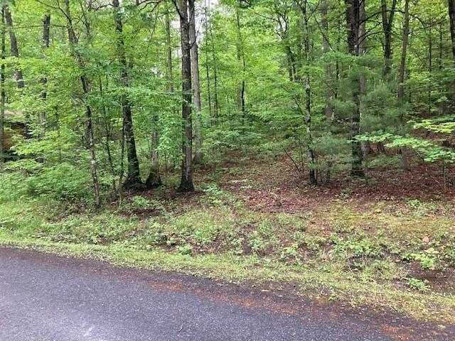0 Susan Road Mount Jackson, VA 22842 - Photo 4 of 9 a view of a forest with trees in the background