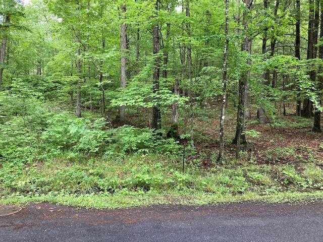 0 Susan Road Mount Jackson, VA 22842 - Photo 6 of 9 a view of a garden