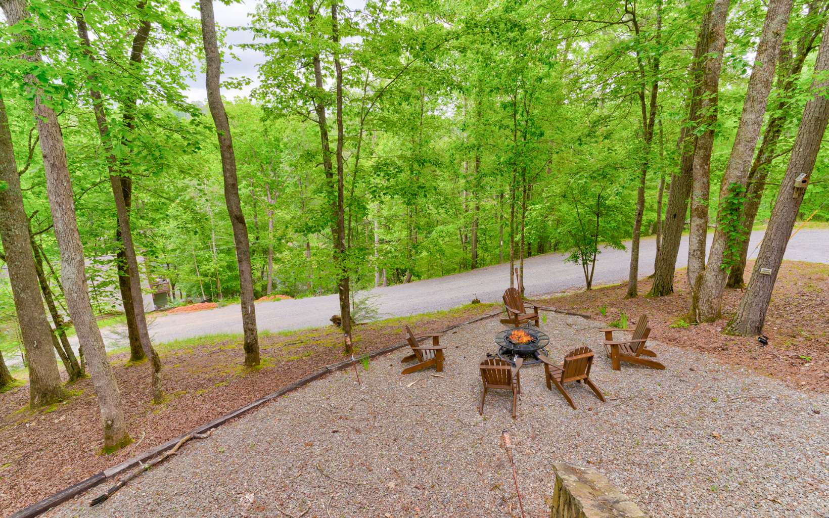 22 Kings Court Ellijay, GA 30540 - Photo 20 of 54 a view of a park with large trees