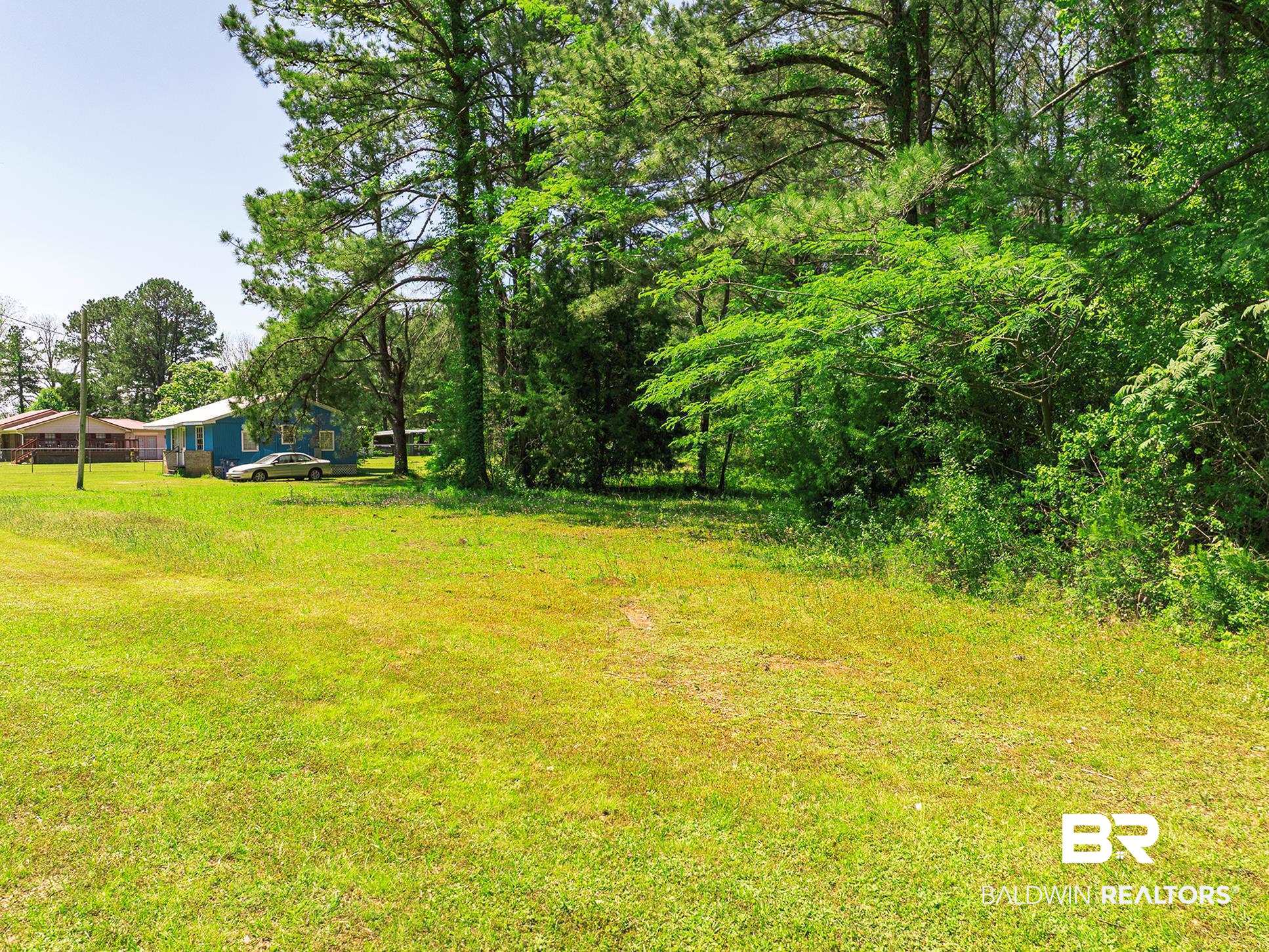 0 Factory Street Evergreen, AL 36401 - Photo 8 of 9 View of yard