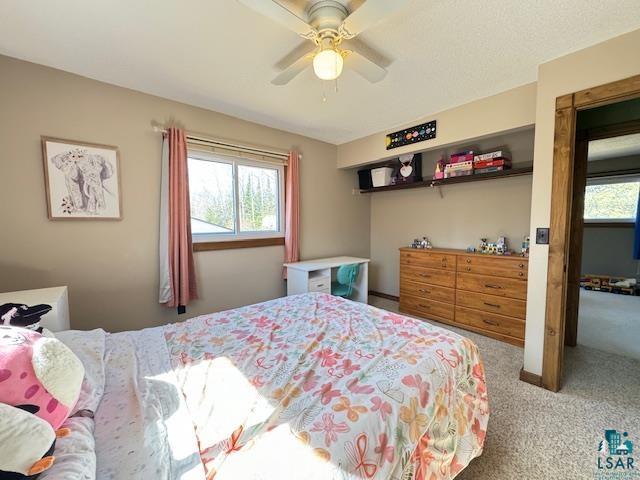 6444 Tyback Road Saginaw, MN 55779 - Photo 32 of 40