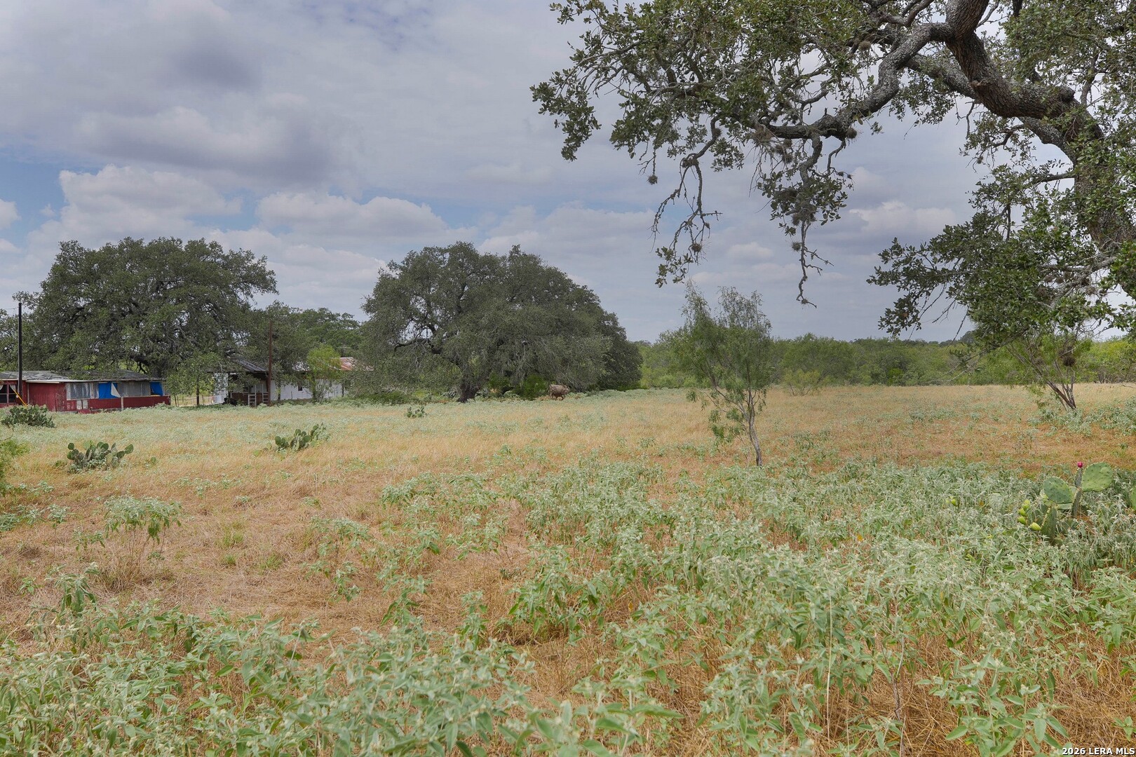 815 Verdi Road Pleasanton, TX 78064 - Photo 42 of 90 Gallery Image 42