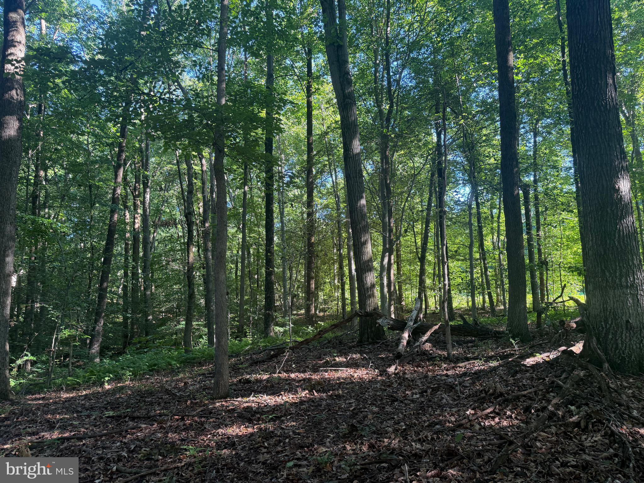 0 Rock Springs Road Conowingo, MD 21918 - Photo 47 of 79