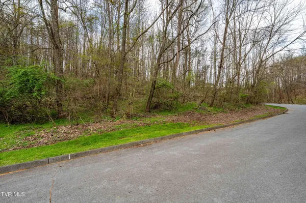 $36,000 | Tbd Randall Laura Lane, Unit 93, Bluff City, TN 37618