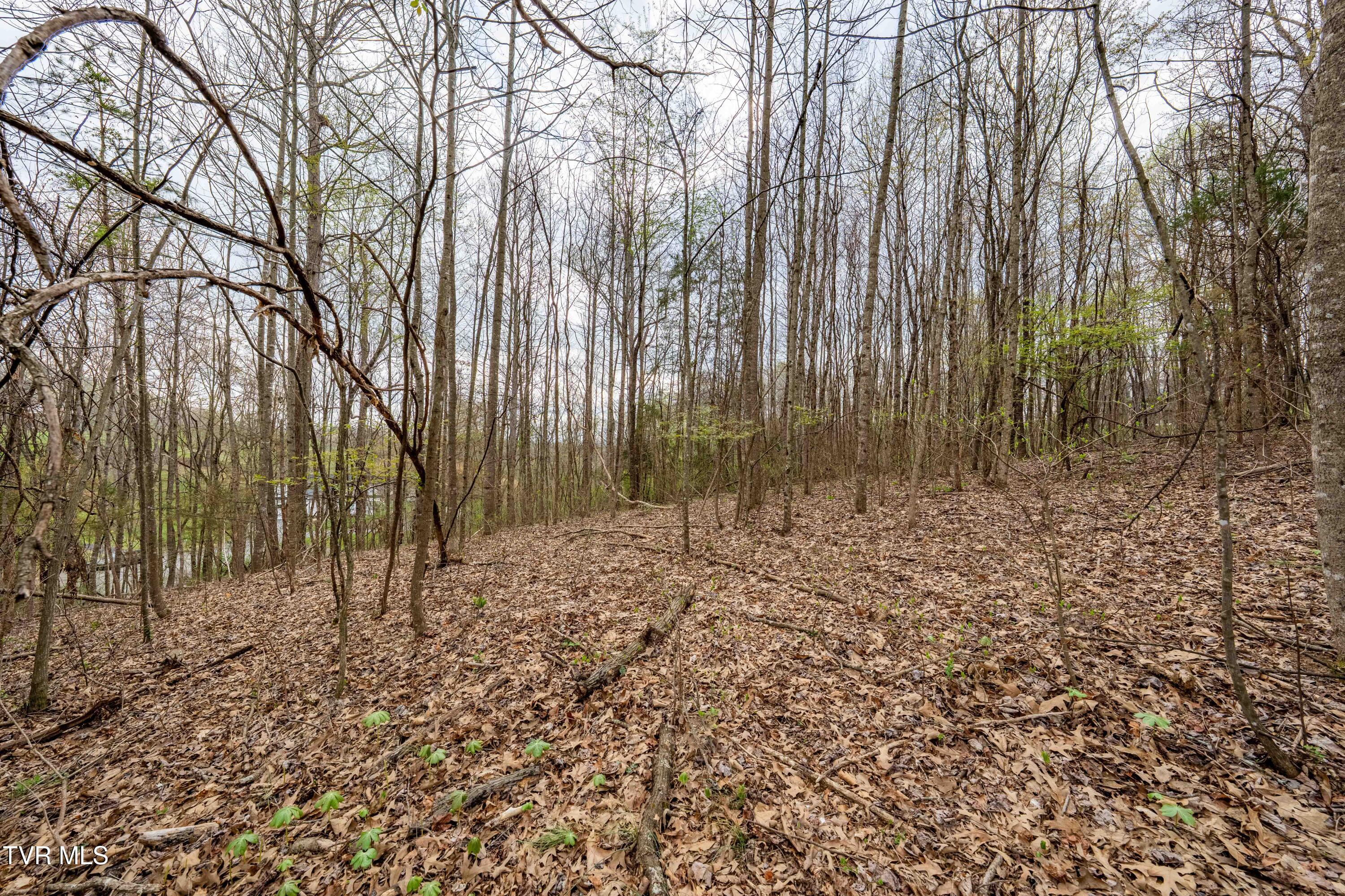 Tbd Randall Laura Lane, Unit 93 Bluff City, TN 37618 - Photo 11 of 37 112 Randall Laura Lane (24 of 34)
