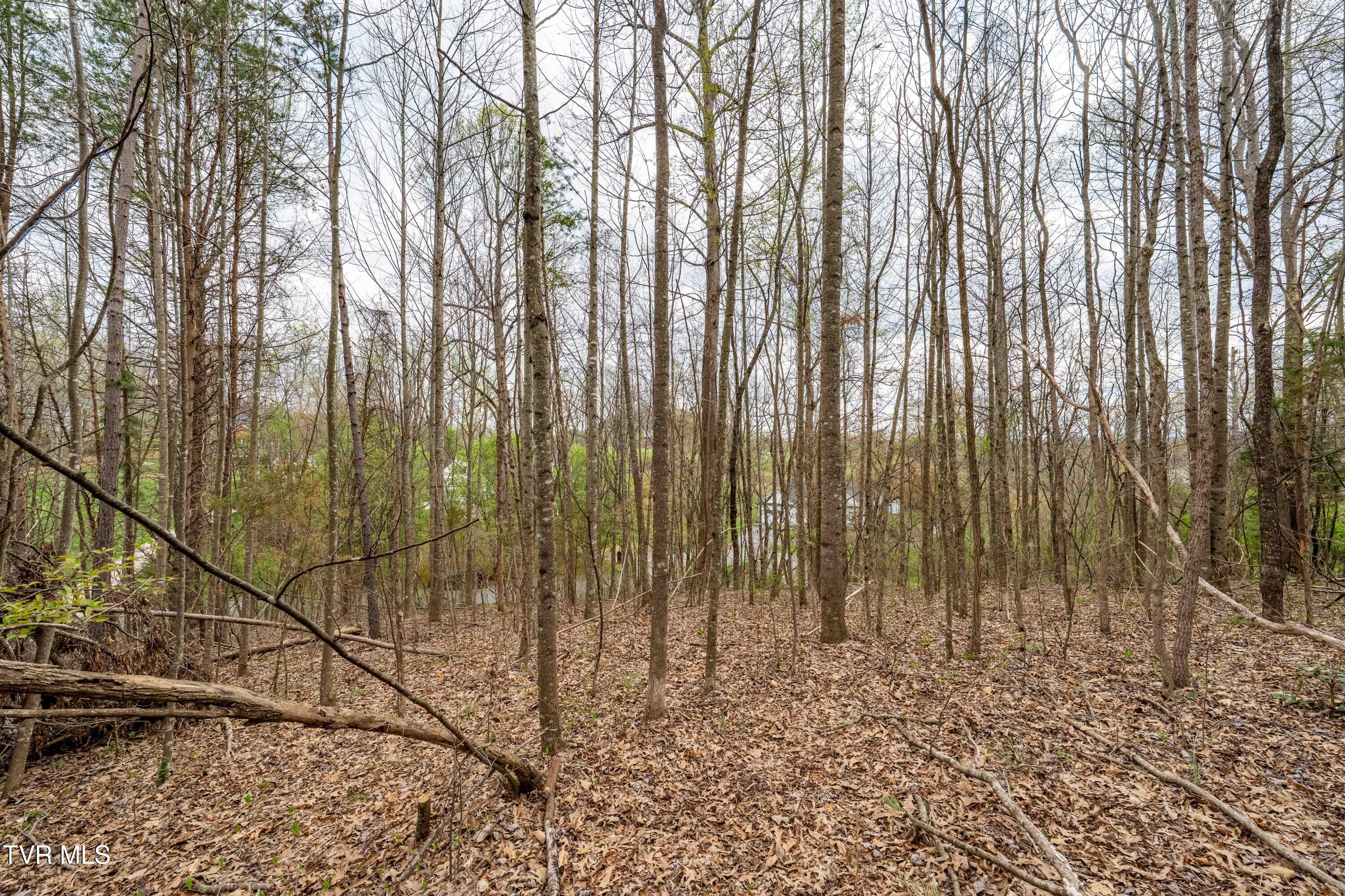 Tbd Randall Laura Lane, Unit 93 Bluff City, TN 37618 - Photo 12 of 37 112 Randall Laura Lane (25 of 34)
