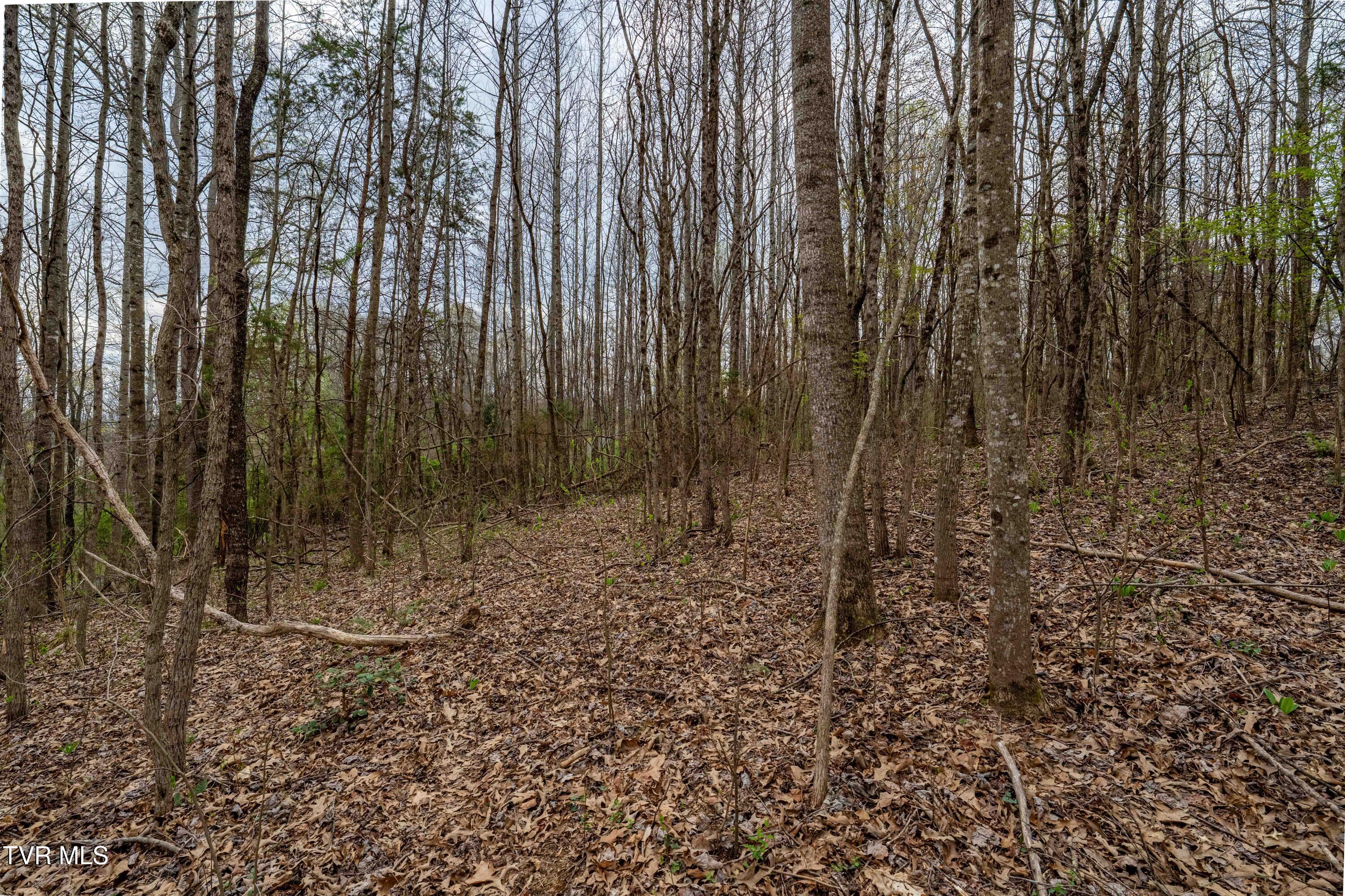 Tbd Randall Laura Lane, Unit 93 Bluff City, TN 37618 - Photo 13 of 37 112 Randall Laura Lane (26 of 34)