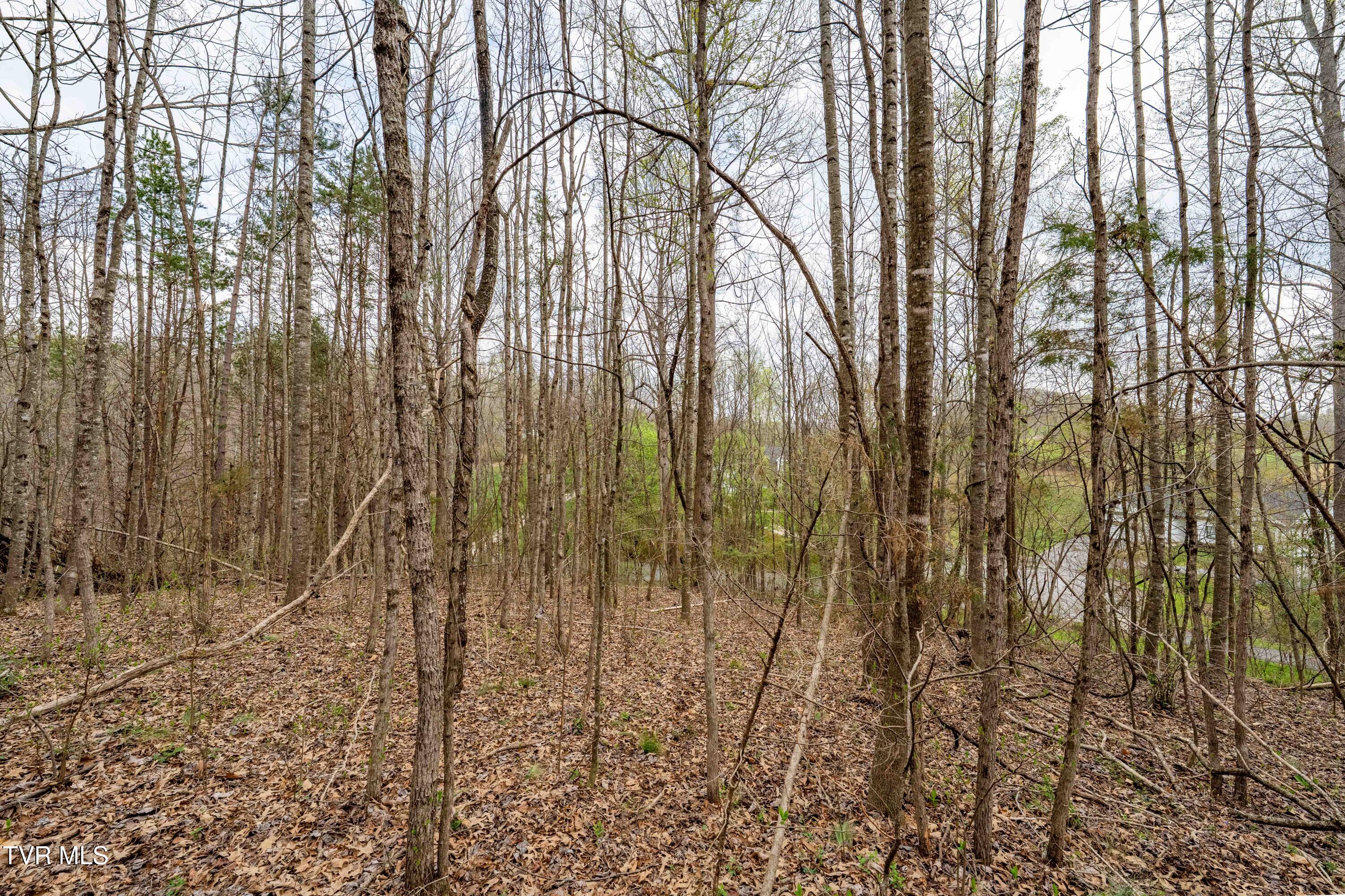 Tbd Randall Laura Lane, Unit 93 Bluff City, TN 37618 - Photo 14 of 37 112 Randall Laura Lane (27 of 34)