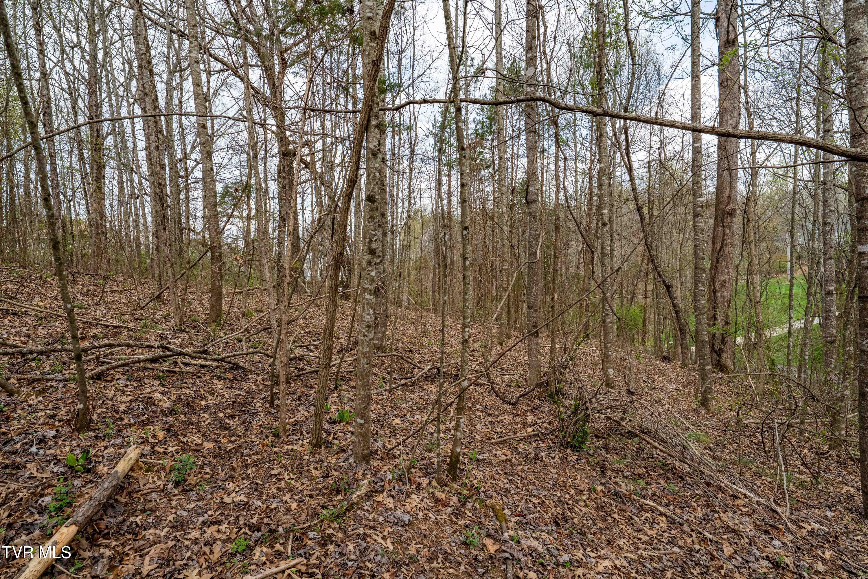 Tbd Randall Laura Lane, Unit 93 Bluff City, TN 37618 - Photo 16 of 37 112 Randall Laura Lane (29 of 34)