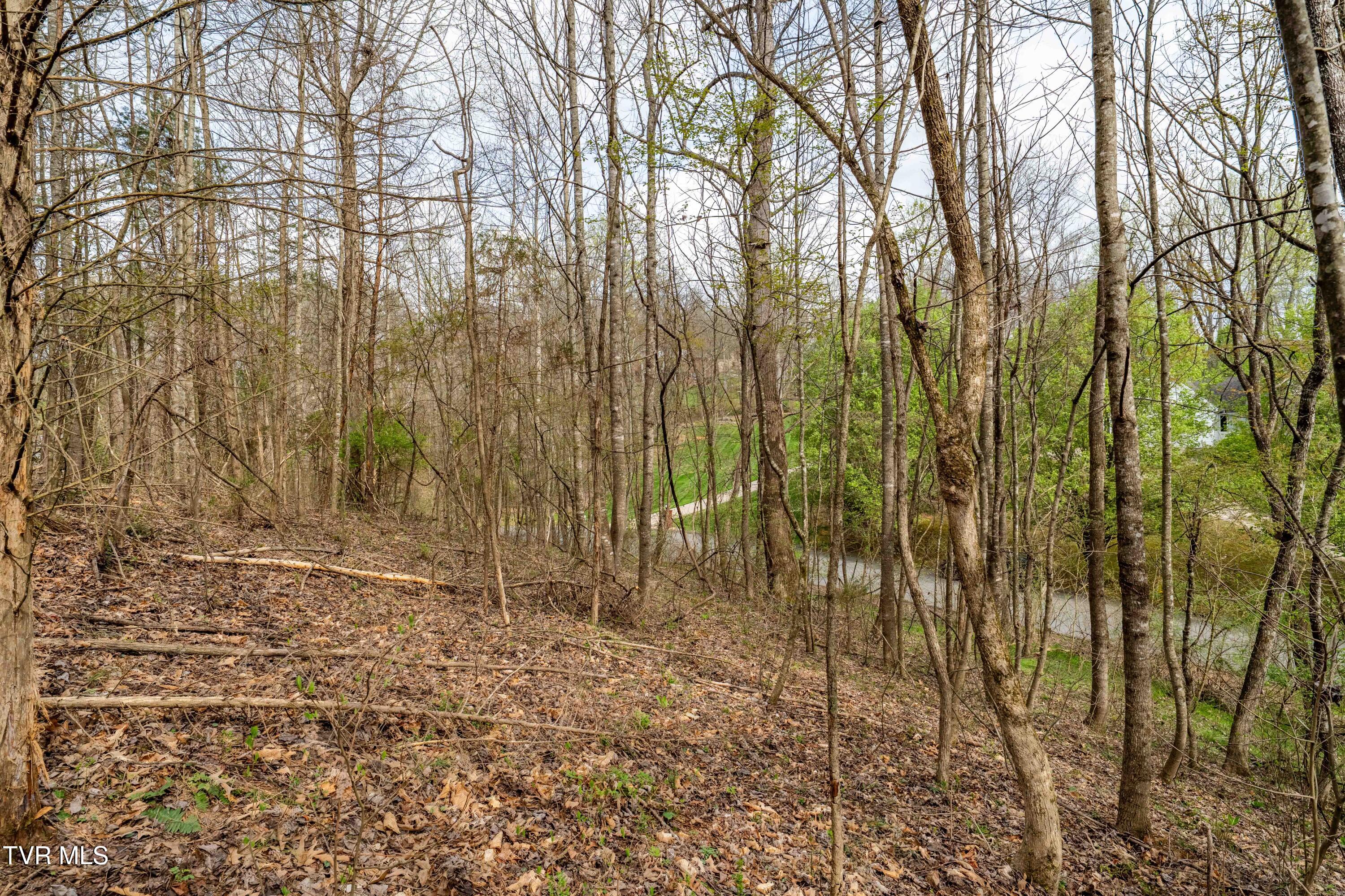 Tbd Randall Laura Lane, Unit 93 Bluff City, TN 37618 - Photo 17 of 37 112 Randall Laura Lane (30 of 34)