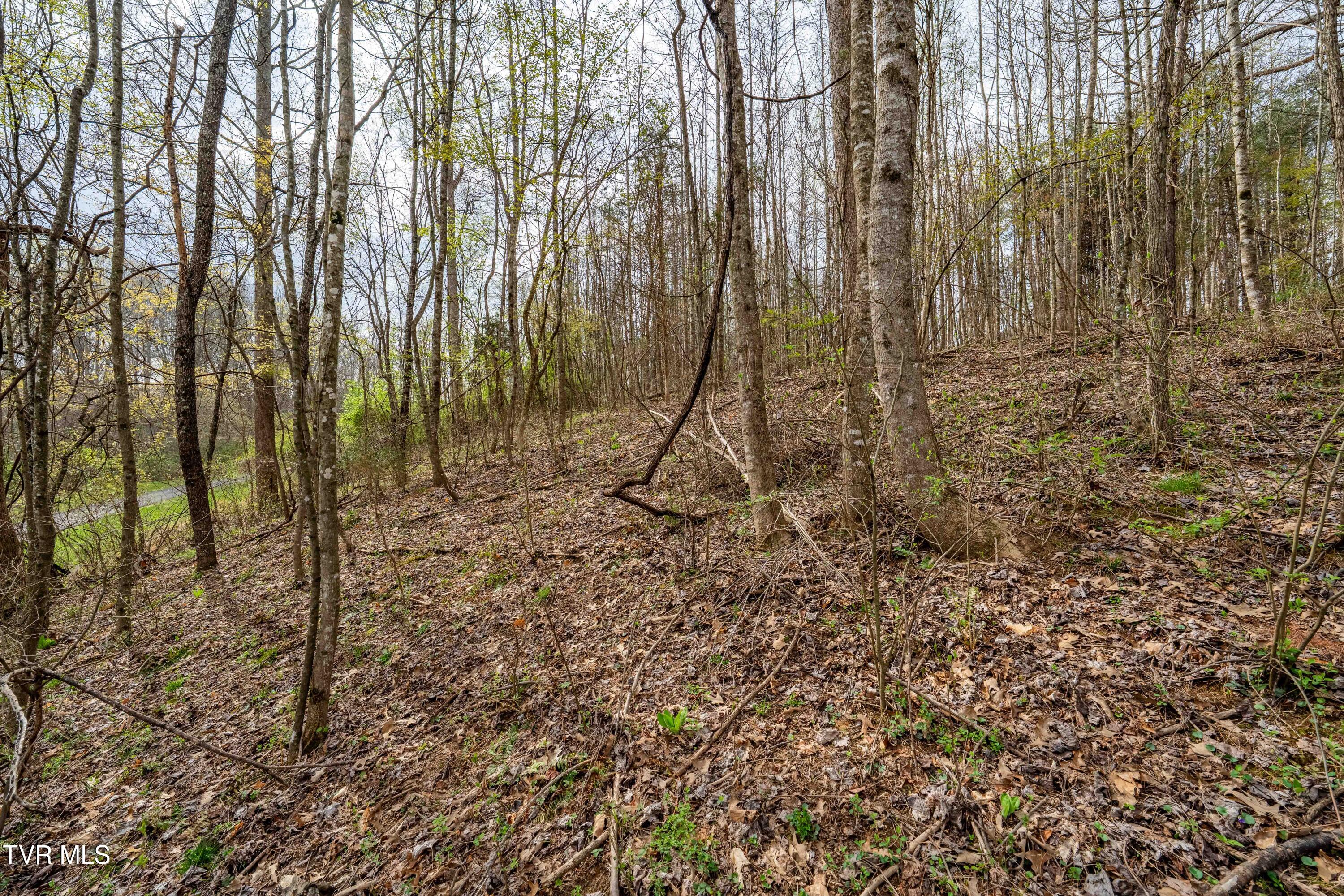 Tbd Randall Laura Lane, Unit 93 Bluff City, TN 37618 - Photo 18 of 37 112 Randall Laura Lane (31 of 34)