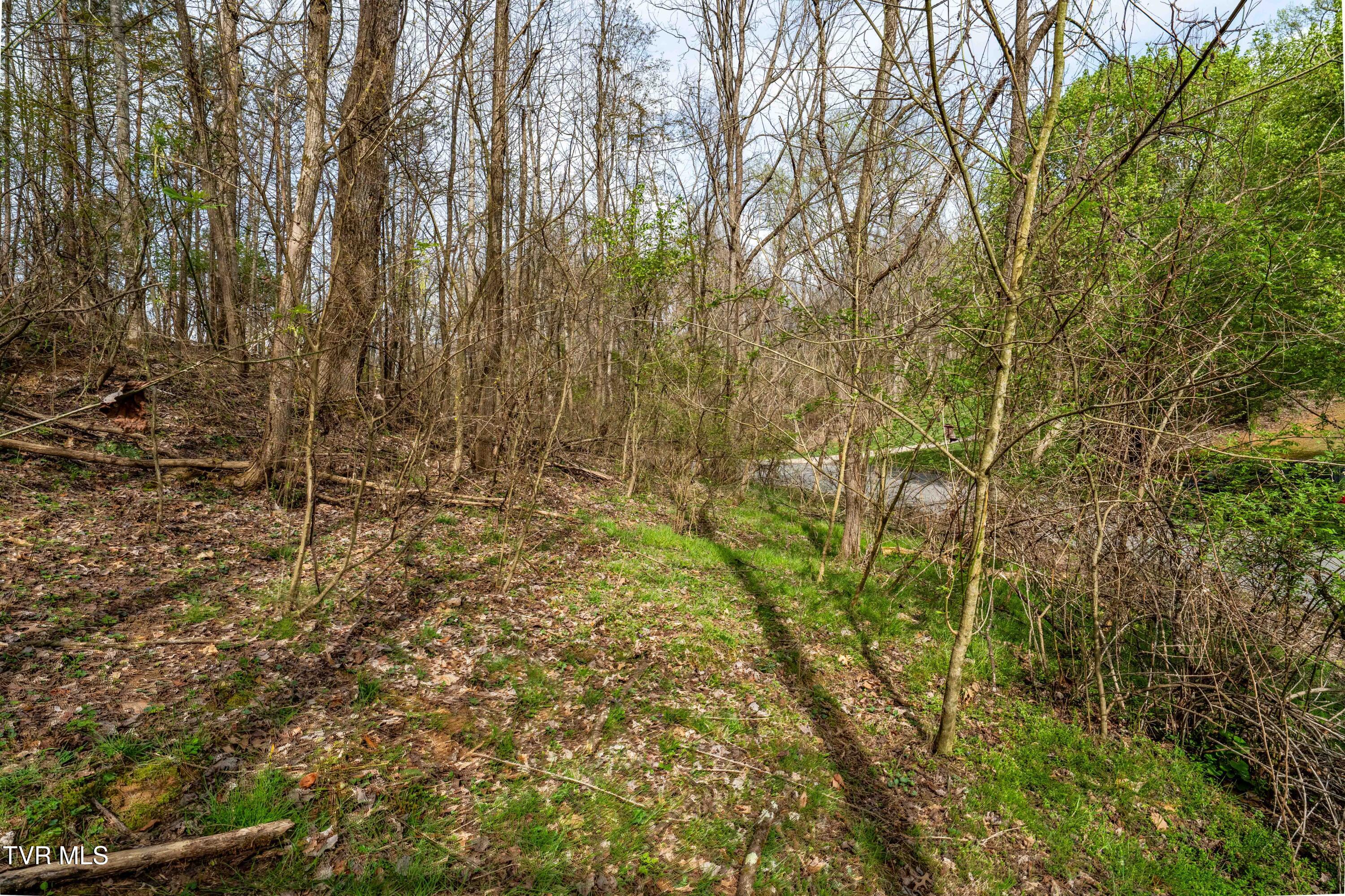Tbd Randall Laura Lane, Unit 93 Bluff City, TN 37618 - Photo 20 of 37 112 Randall Laura Lane (33 of 34)