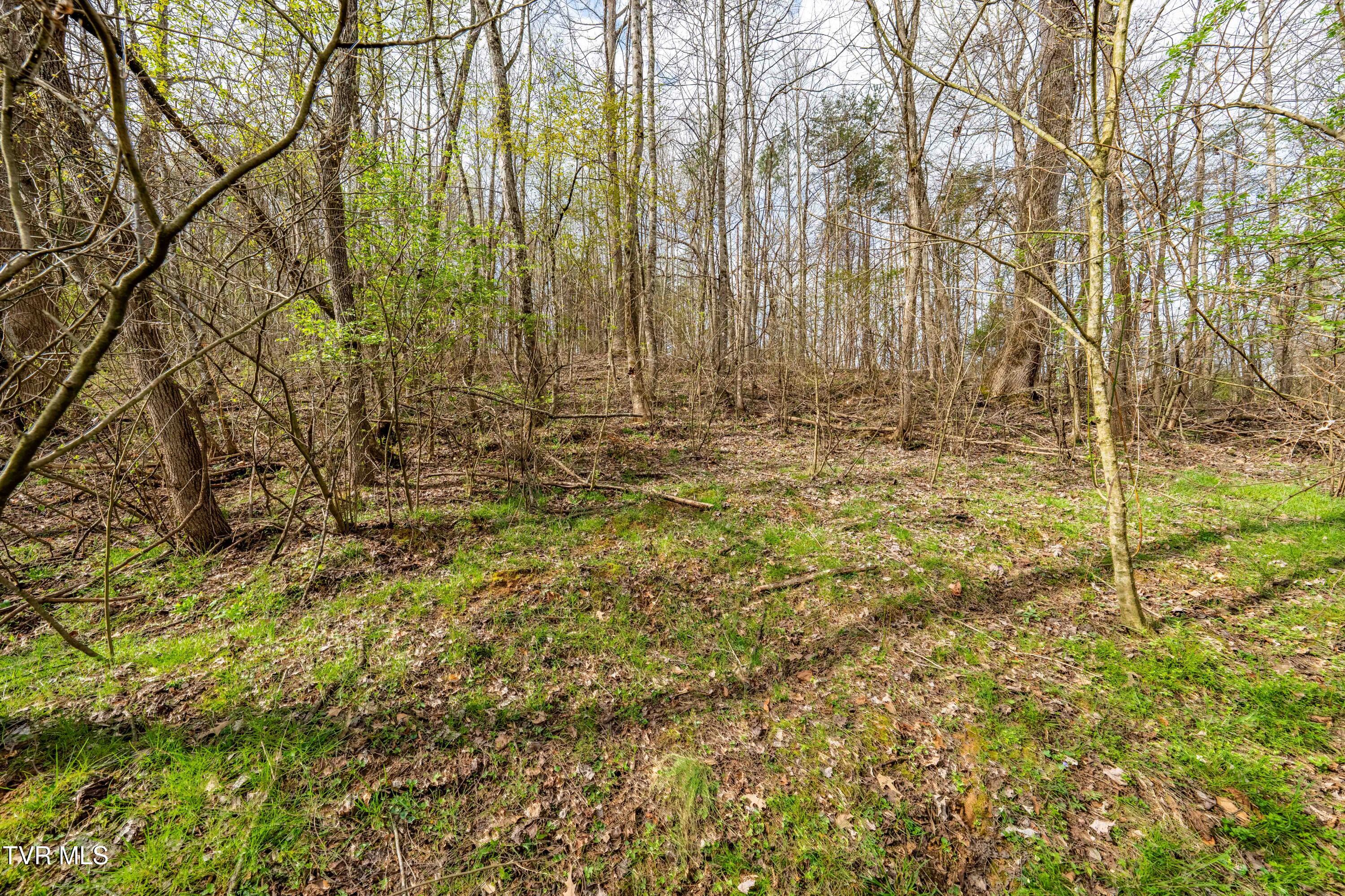Tbd Randall Laura Lane, Unit 93 Bluff City, TN 37618 - Photo 21 of 37 112 Randall Laura Lane (34 of 34)