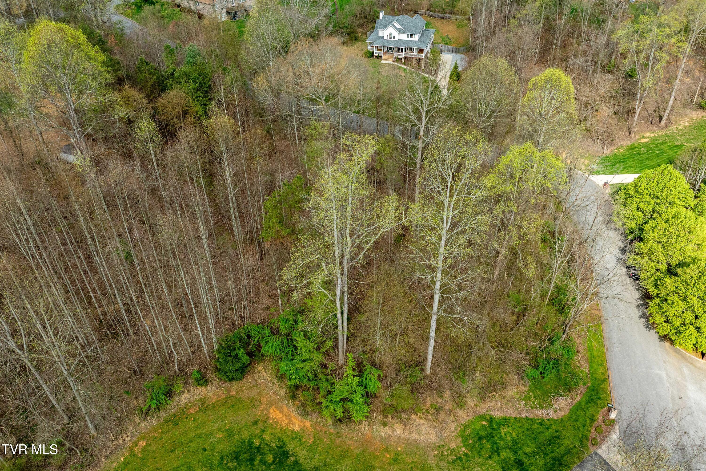 Tbd Randall Laura Lane, Unit 93 Bluff City, TN 37618 - Photo 34 of 37 112 Randall Laura Lane (14 of 34)