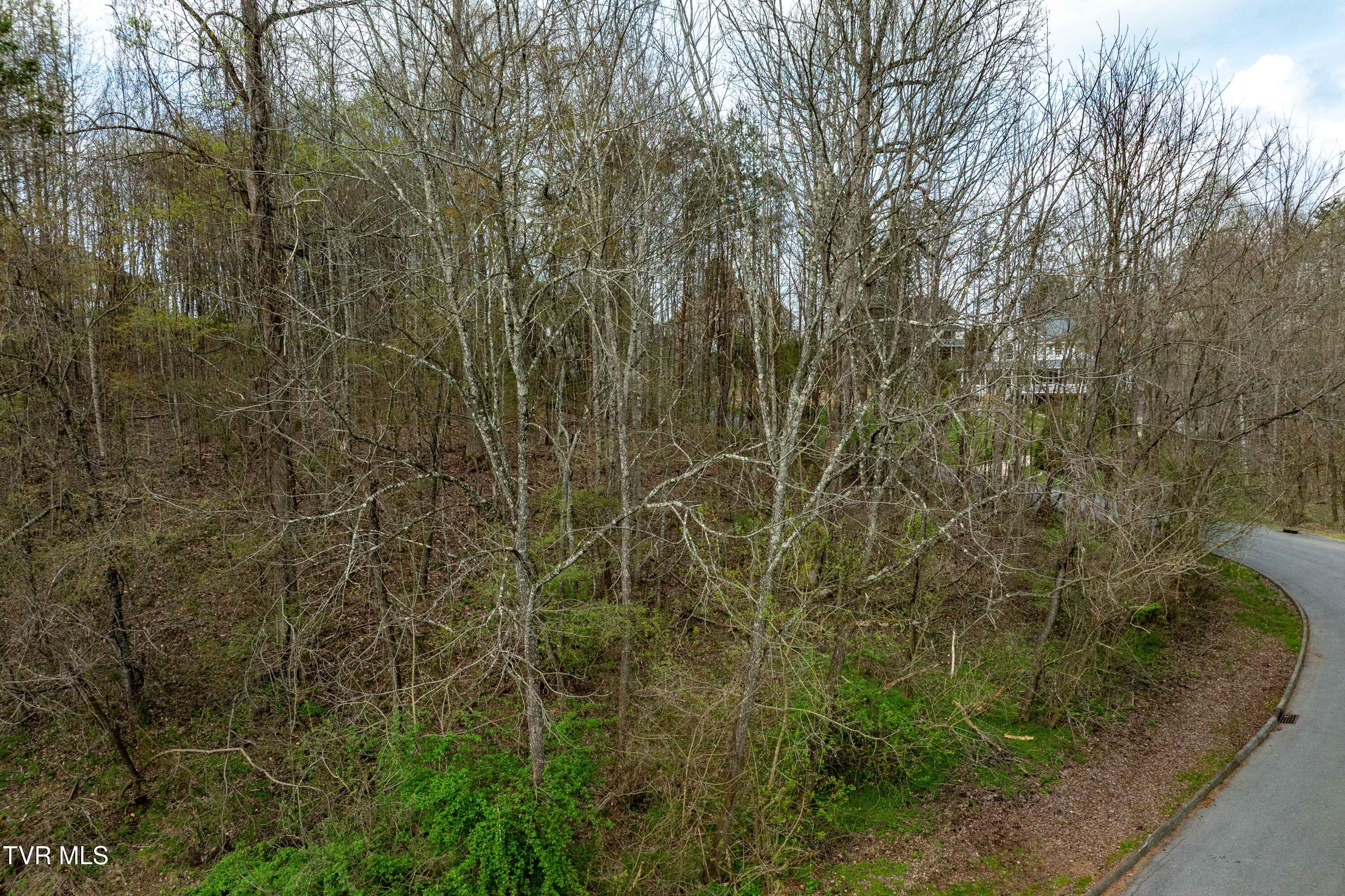 Tbd Randall Laura Lane, Unit 93 Bluff City, TN 37618 - Photo 36 of 37 112 Randall Laura Lane (16 of 34)
