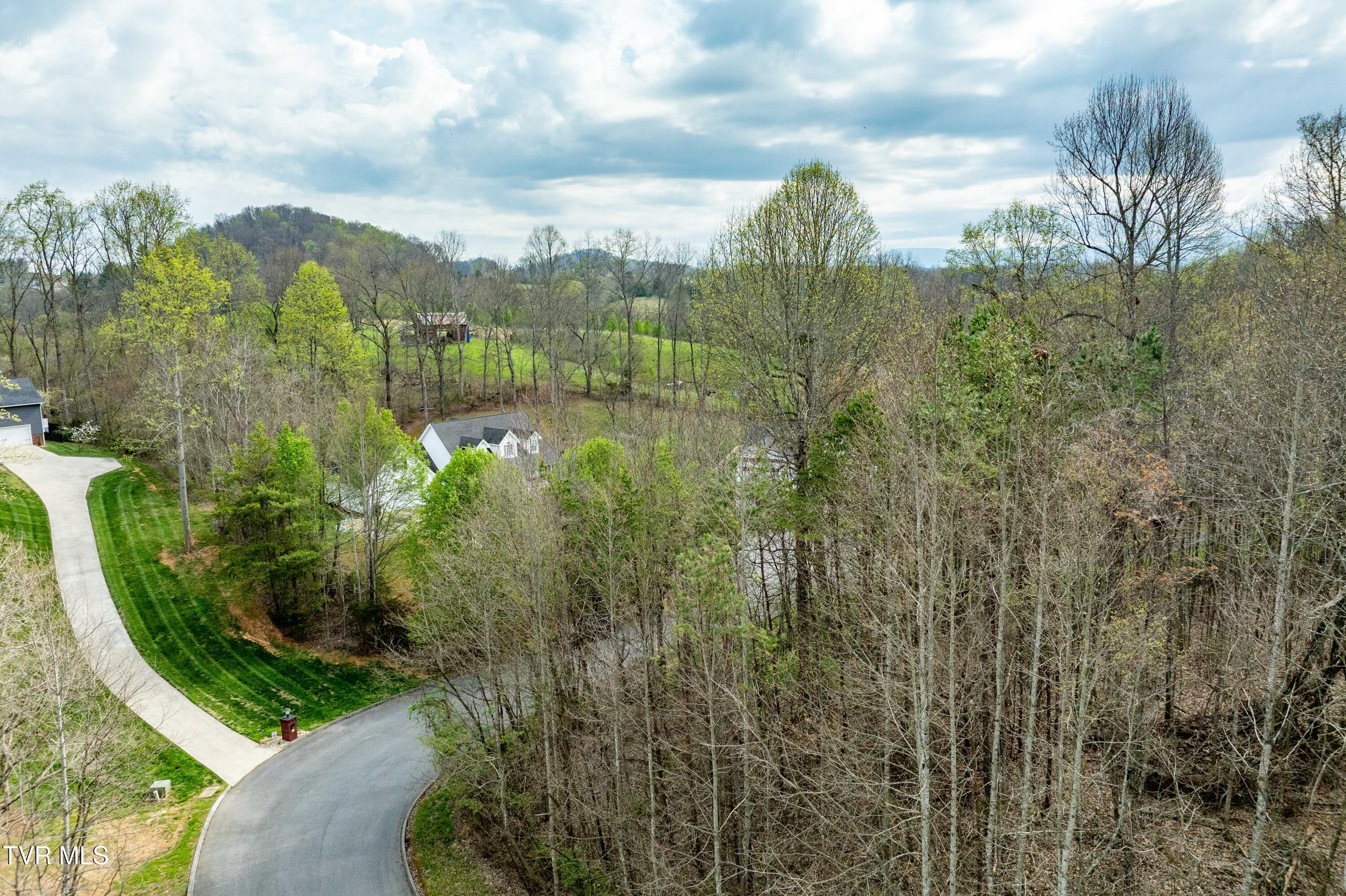 Tbd Randall Laura Lane, Unit 93 Bluff City, TN 37618 - Photo 37 of 37 112 Randall Laura Lane (17 of 34)