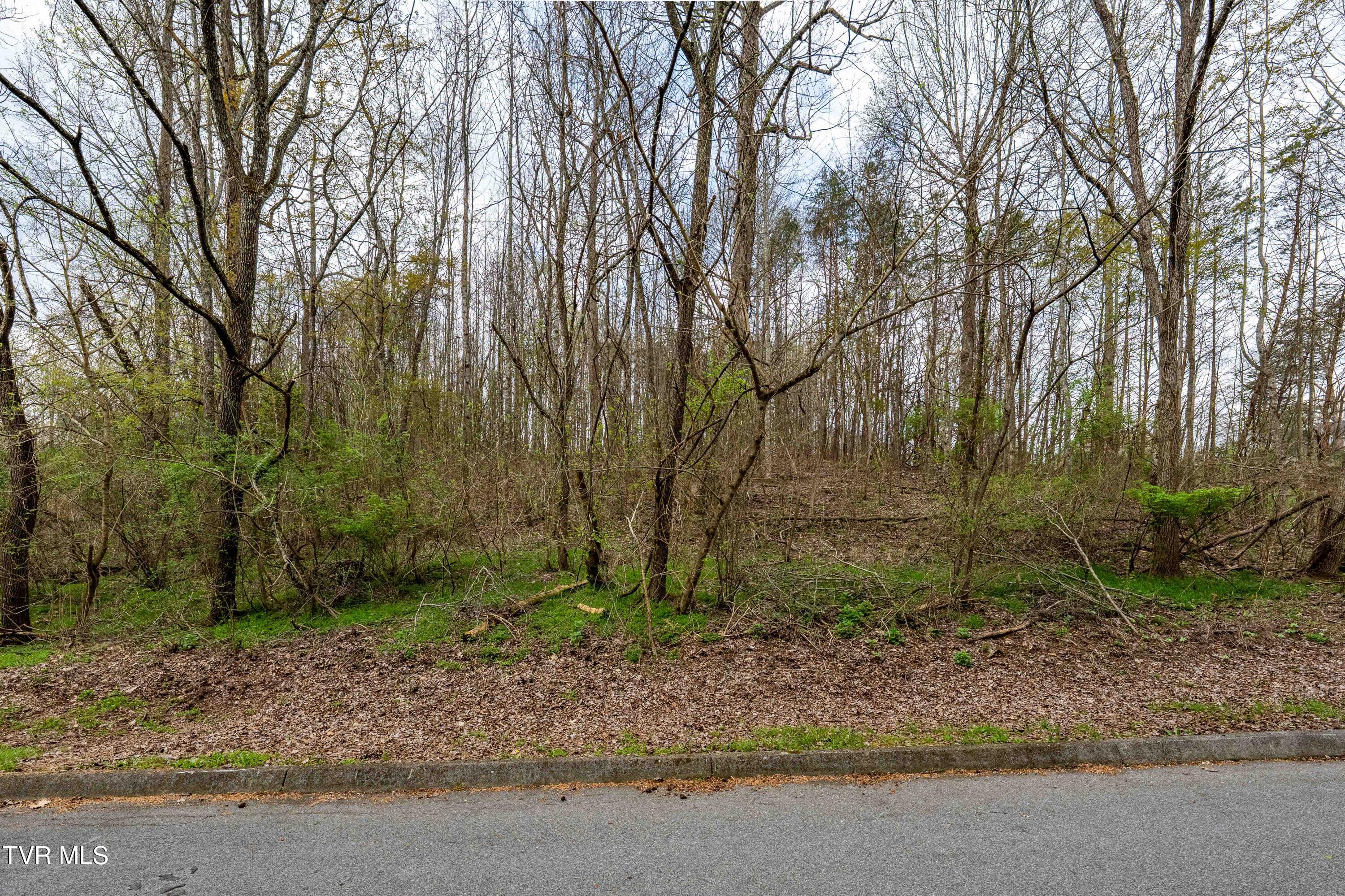 Tbd Randall Laura Lane, Unit 93 Bluff City, TN 37618 - Photo 4 of 37 112 Randall Laura Lane (19 of 34)