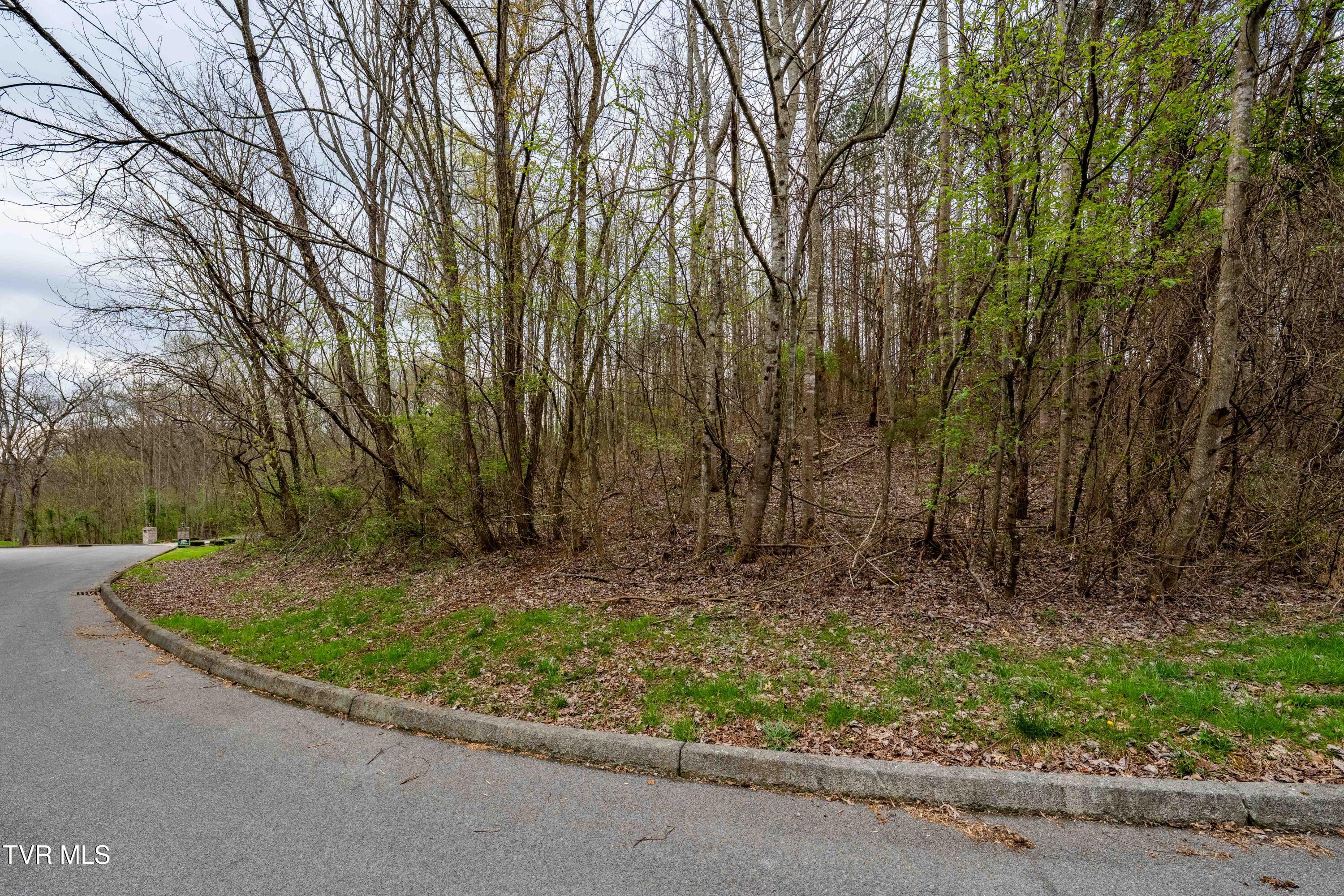 Tbd Randall Laura Lane, Unit 93 Bluff City, TN 37618 - Photo 7 of 37 112 Randall Laura Lane (20 of 34)