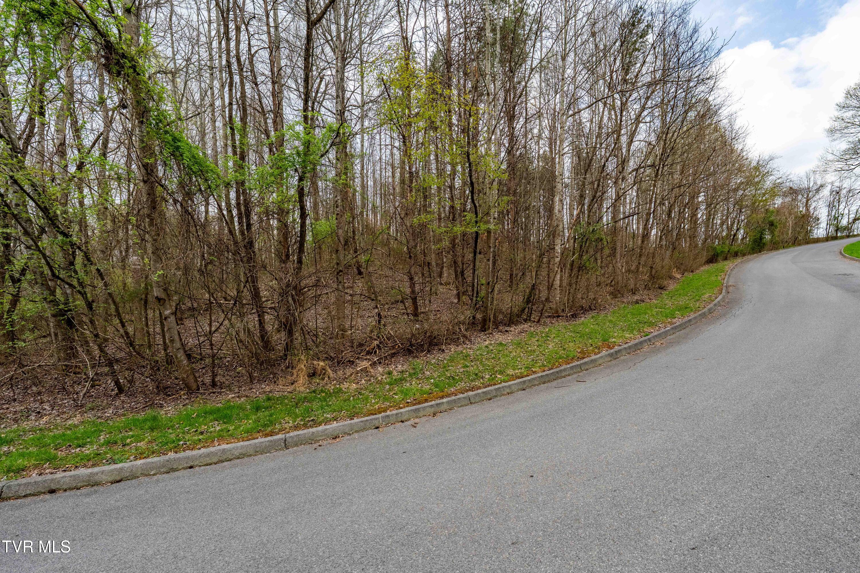 Tbd Randall Laura Lane, Unit 93 Bluff City, TN 37618 - Photo 8 of 37 112 Randall Laura Lane (21 of 34)