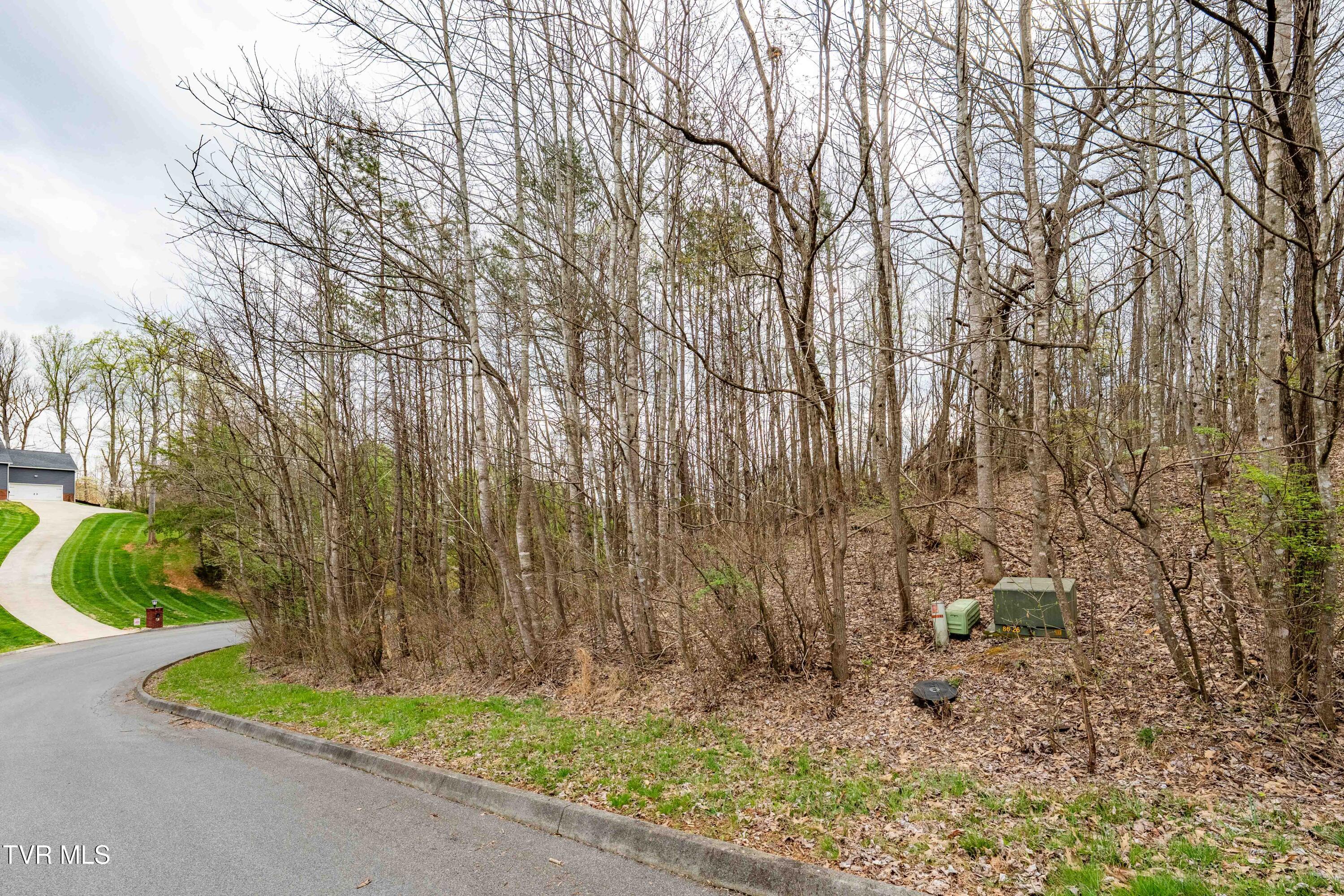 Tbd Randall Laura Lane, Unit 93 Bluff City, TN 37618 - Photo 9 of 37 112 Randall Laura Lane (22 of 34)