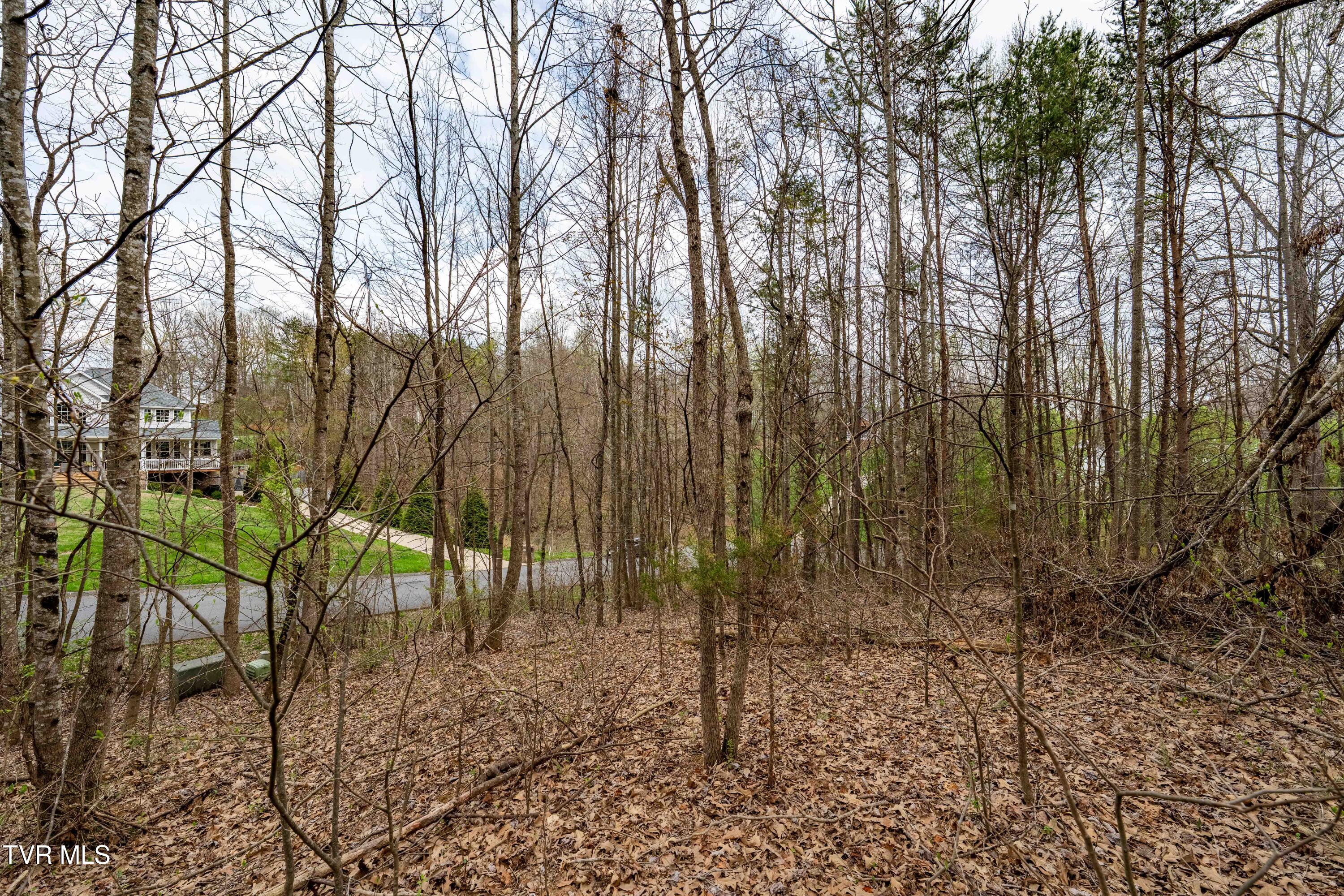 Tbd Randall Laura Lane, Unit 93 Bluff City, TN 37618 - Photo 10 of 37 112 Randall Laura Lane (23 of 34)