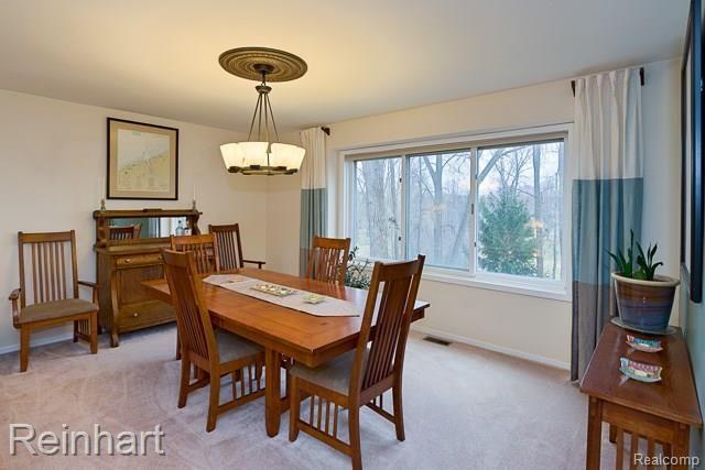 11119 Rivendell Court Pinckney, MI 48169 - Photo 20 of 49 Image_20.jpg