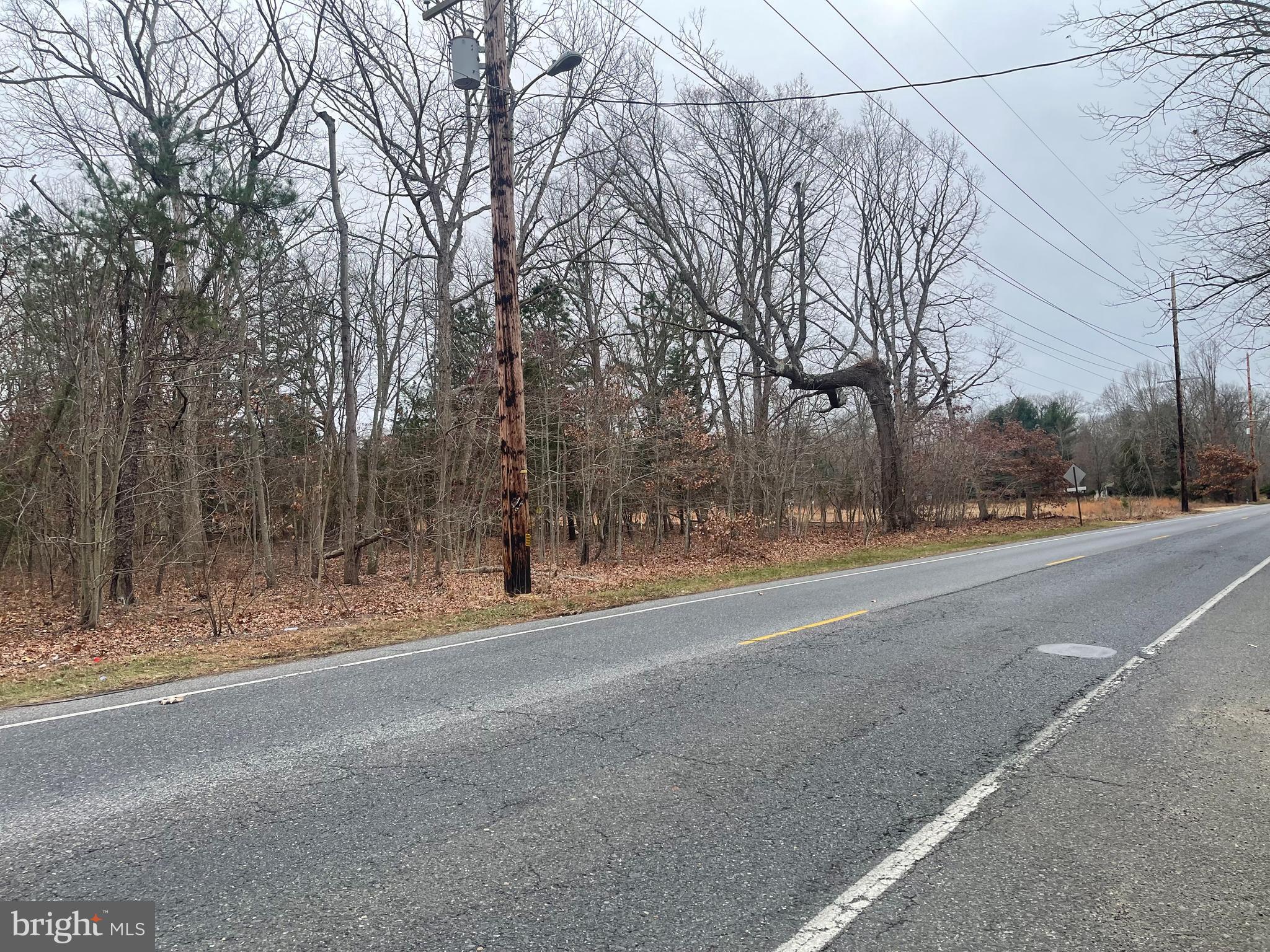 540 East Malaga Road Williamstown, NJ 08094 - Photo 2 of 2 a view of road view with large trees