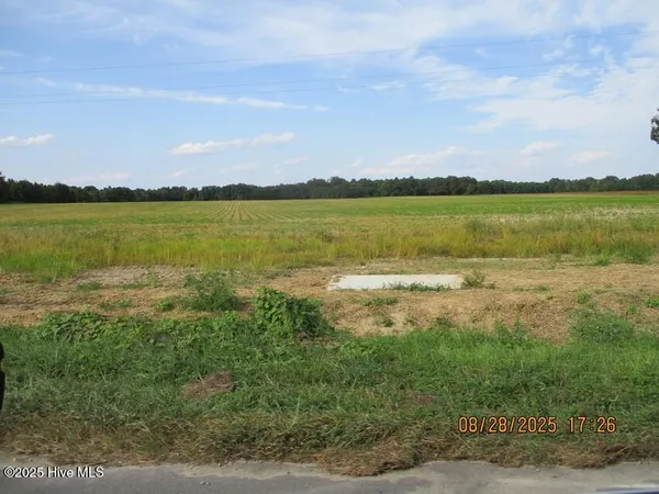 $411,800 | 0 Turkey Highway, Turkey, NC 28393