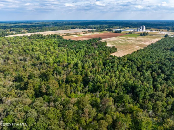 $411,800 | 0 Turkey Highway, Turkey, NC 28393