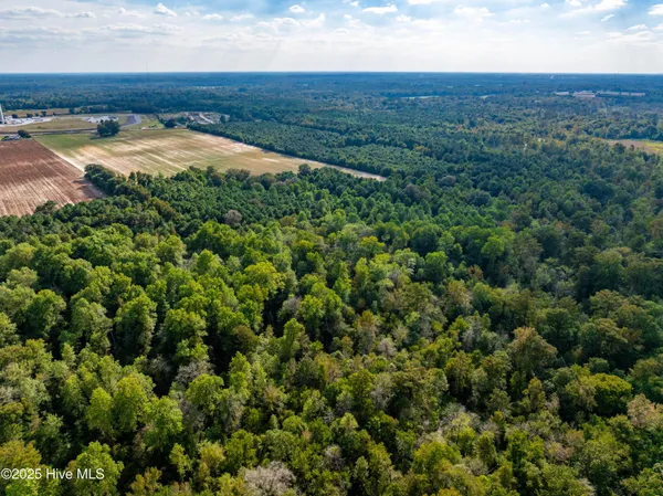 $411,800 | 0 Turkey Highway, Turkey, NC 28393