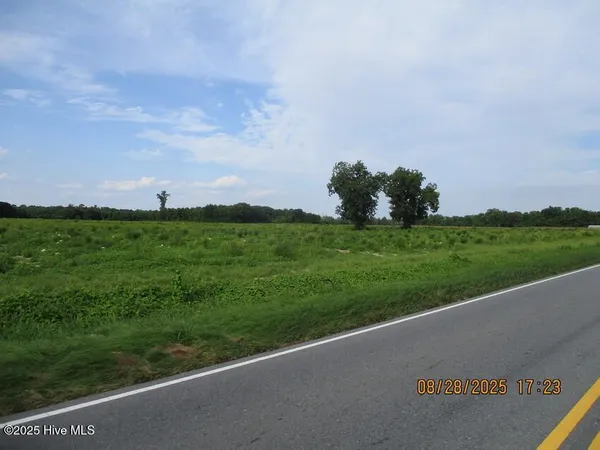 $411,800 | 0 Turkey Highway, Turkey, NC 28393