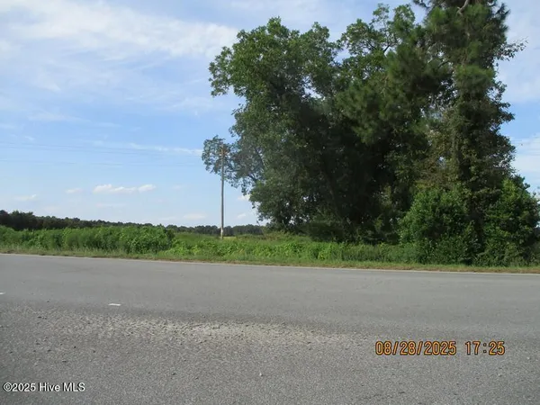 $411,800 | 0 Turkey Highway, Turkey, NC 28393