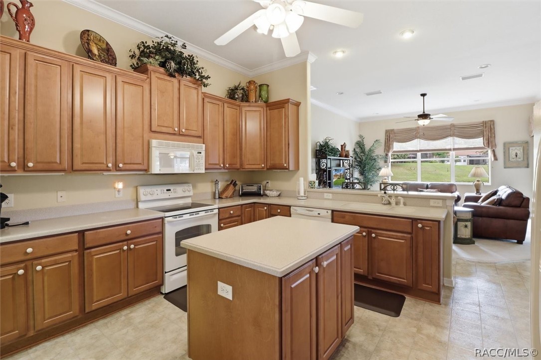 1239 West Beagle Run Loop Hernando, FL 34442 - Photo 13 of 55