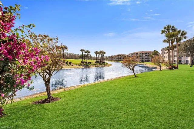 a view of a park with large trees