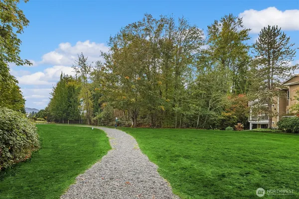 a view of a park with large trees