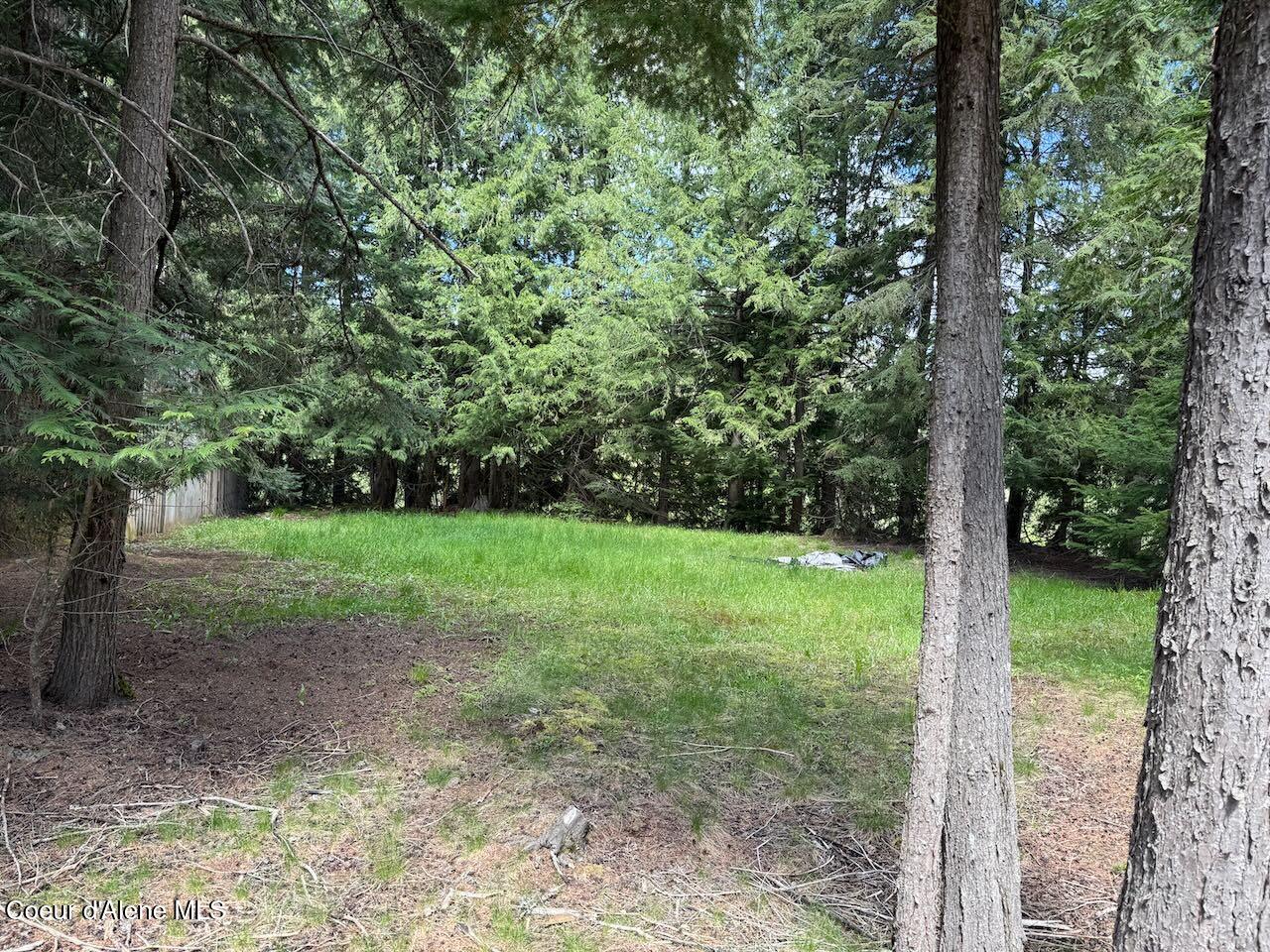 8213 Rapid Lightning Road Sandpoint, ID 83864 - Photo 16 of 40 Meadow